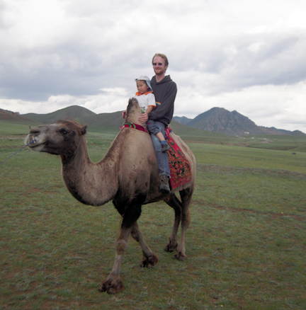 international relations camel