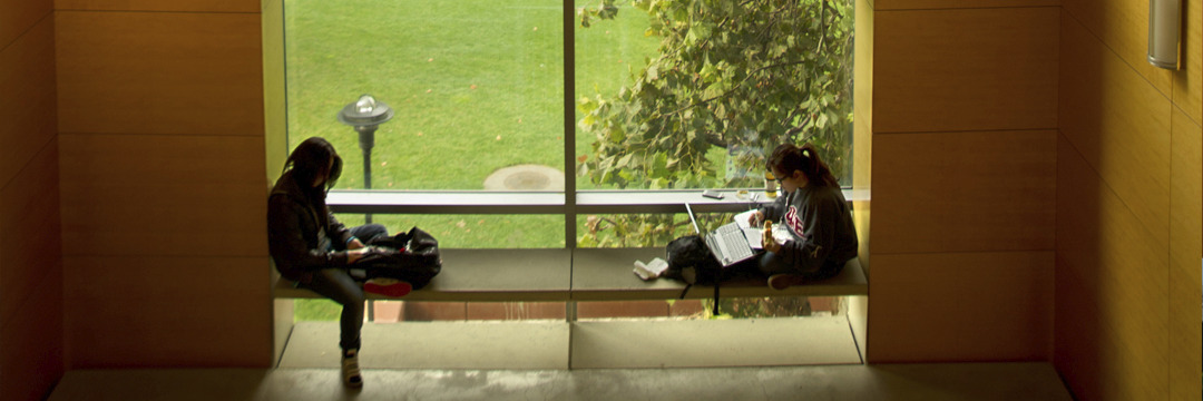 political science scholarship